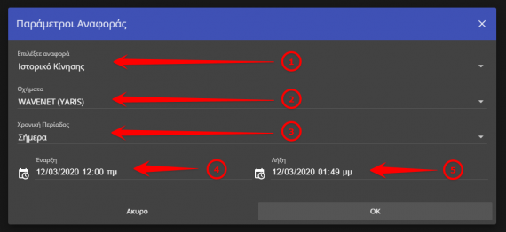 Επιλογές έκδοσης αναφοράς